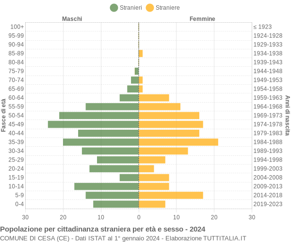 Grafico cittadini stranieri - Cesa 2024