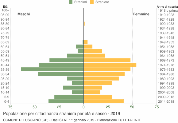 Grafico cittadini stranieri - Lusciano 2019