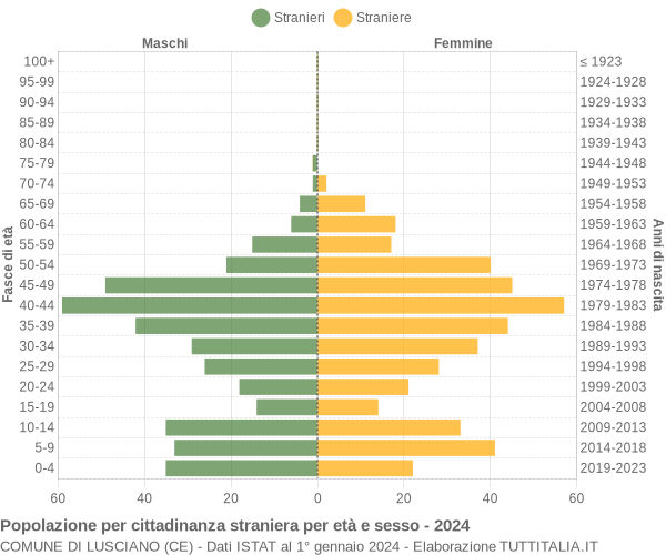 Grafico cittadini stranieri - Lusciano 2024