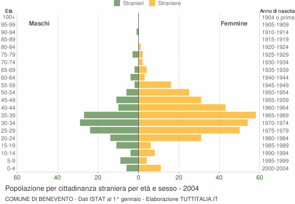 Grafico cittadini stranieri - Benevento 2004
