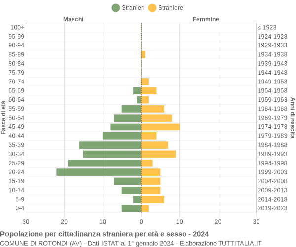 Grafico cittadini stranieri - Rotondi 2024