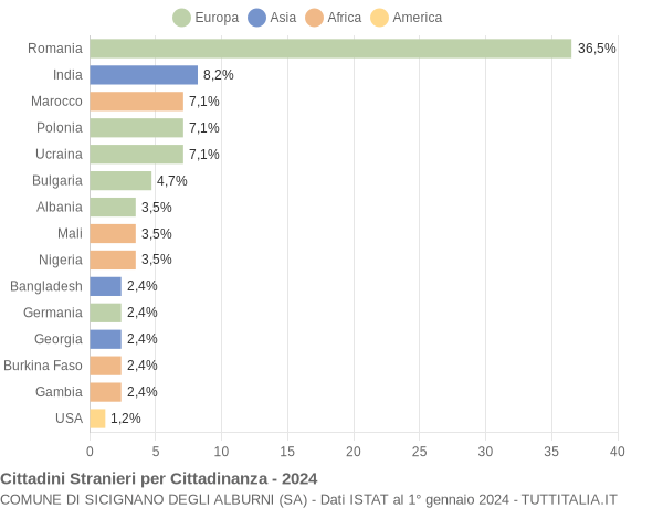 Grafico cittadinanza stranieri - Sicignano degli Alburni 2024