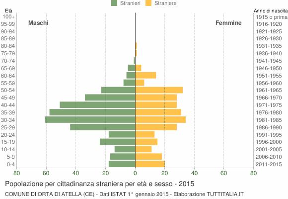 Grafico cittadini stranieri - Orta di Atella 2015