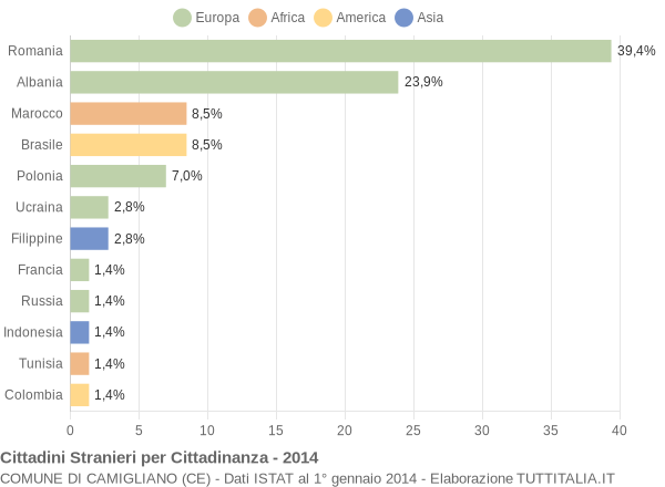 Grafico cittadinanza stranieri - Camigliano 2014