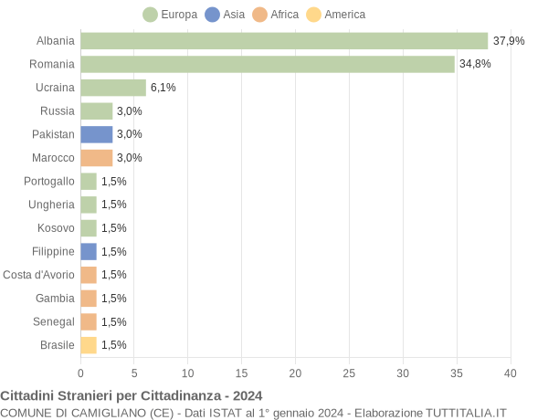 Grafico cittadinanza stranieri - Camigliano 2024