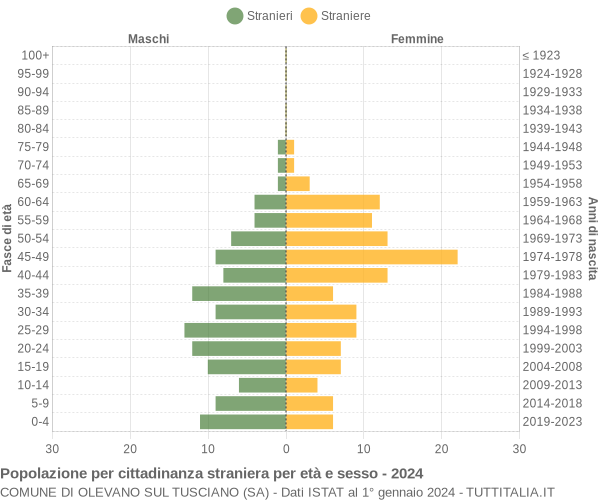 Grafico cittadini stranieri - Olevano sul Tusciano 2024