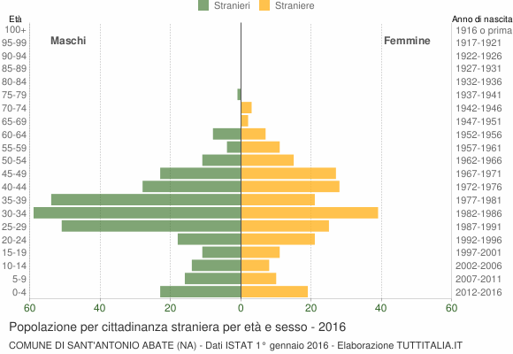 Grafico cittadini stranieri - Sant'Antonio Abate 2016