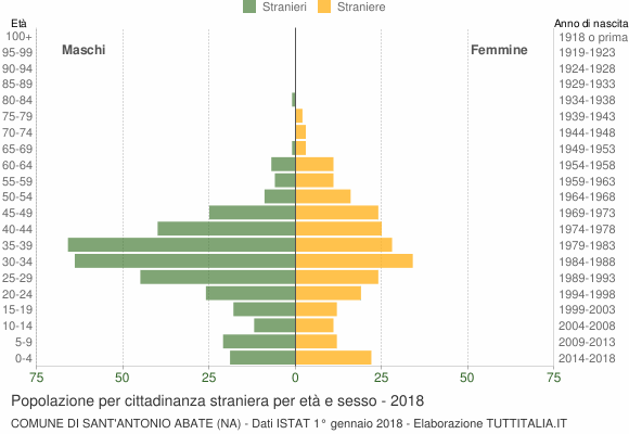 Grafico cittadini stranieri - Sant'Antonio Abate 2018