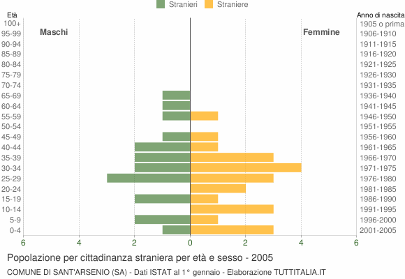 Grafico cittadini stranieri - Sant'Arsenio 2005