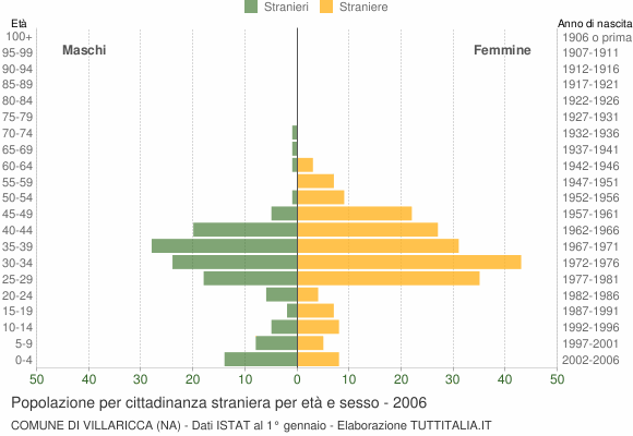 Grafico cittadini stranieri - Villaricca 2006