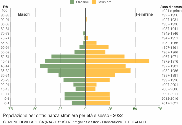 Grafico cittadini stranieri - Villaricca 2022