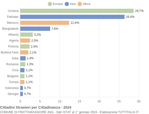 Grafico cittadinanza stranieri - Frattamaggiore 2024