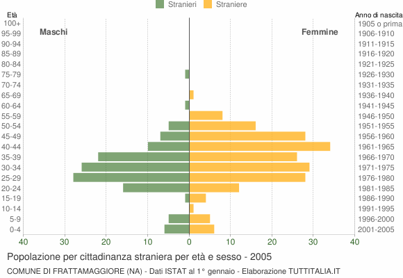 Grafico cittadini stranieri - Frattamaggiore 2005