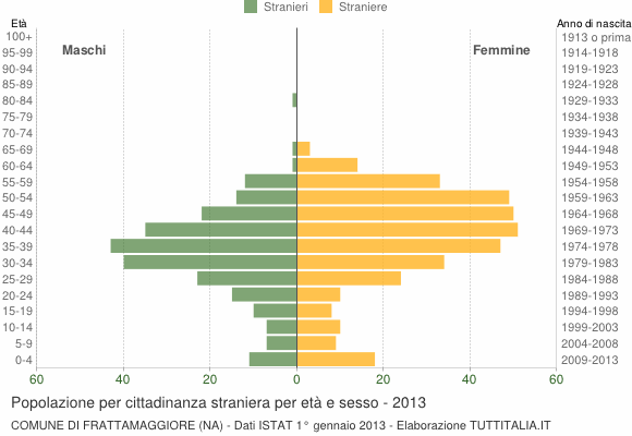 Grafico cittadini stranieri - Frattamaggiore 2013