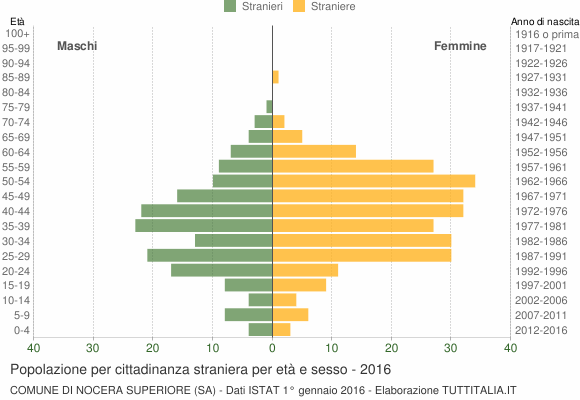 Grafico cittadini stranieri - Nocera Superiore 2016