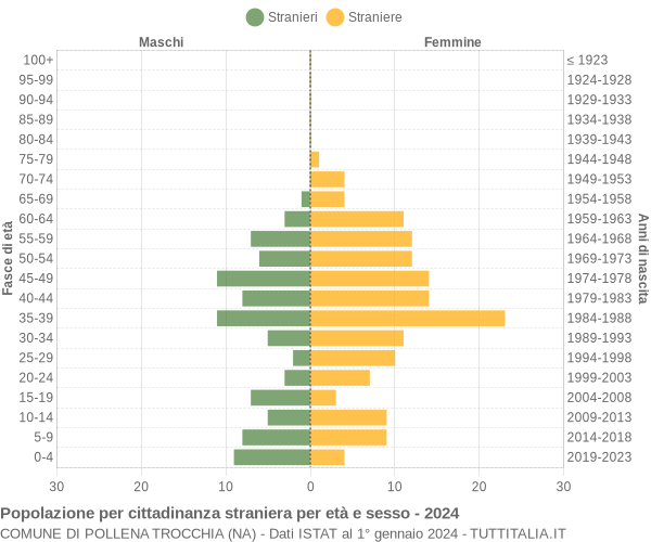 Grafico cittadini stranieri - Pollena Trocchia 2024