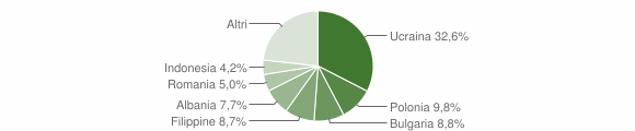 Grafico cittadinanza stranieri - Pompei 2009