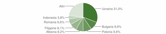 Grafico cittadinanza stranieri - Pompei 2010