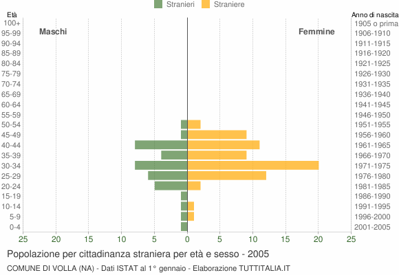 Grafico cittadini stranieri - Volla 2005