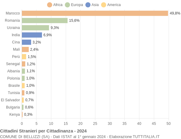 Grafico cittadinanza stranieri - Bellizzi 2024