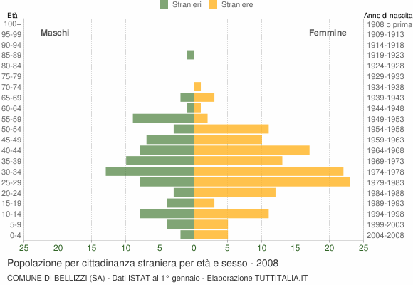 Grafico cittadini stranieri - Bellizzi 2008