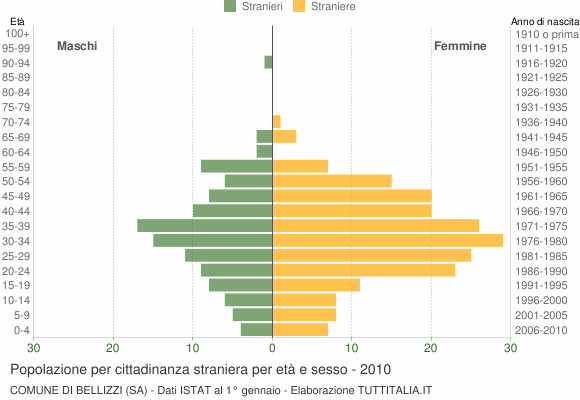 Grafico cittadini stranieri - Bellizzi 2010