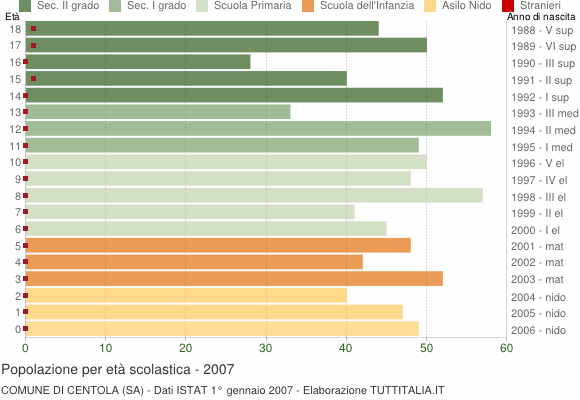 Grafico Popolazione in età scolastica - Centola 2007