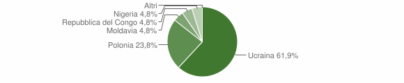 Grafico cittadinanza stranieri - Massa di Somma 2005