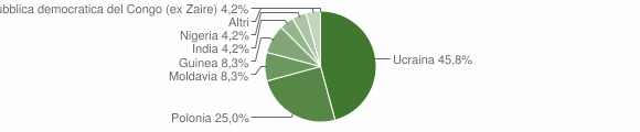 Grafico cittadinanza stranieri - Massa di Somma 2008