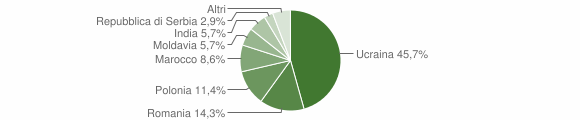 Grafico cittadinanza stranieri - Massa di Somma 2009