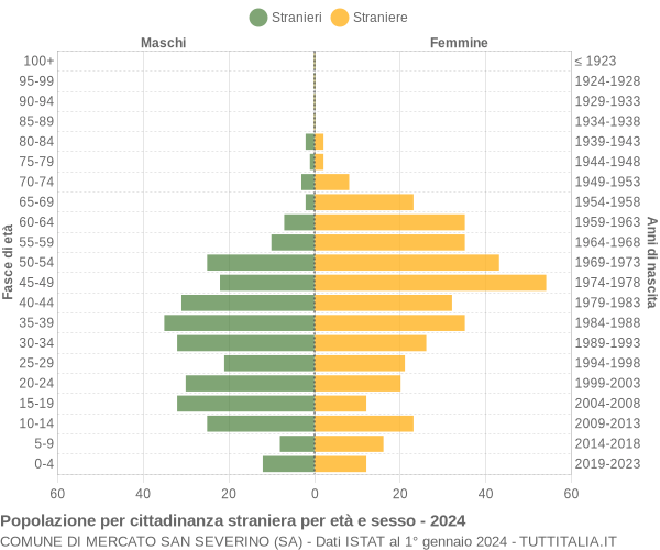 Grafico cittadini stranieri - Mercato San Severino 2024