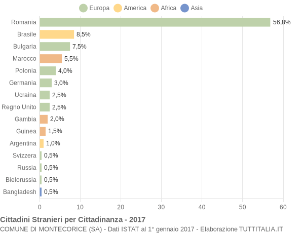 Grafico cittadinanza stranieri - Montecorice 2017