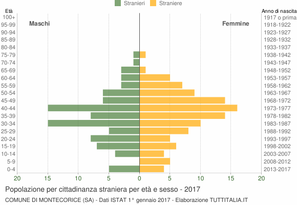 Grafico cittadini stranieri - Montecorice 2017