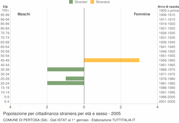Grafico cittadini stranieri - Pertosa 2005
