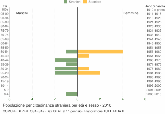 Grafico cittadini stranieri - Pertosa 2010