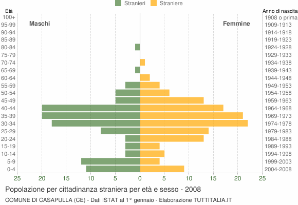 Grafico cittadini stranieri - Casapulla 2008
