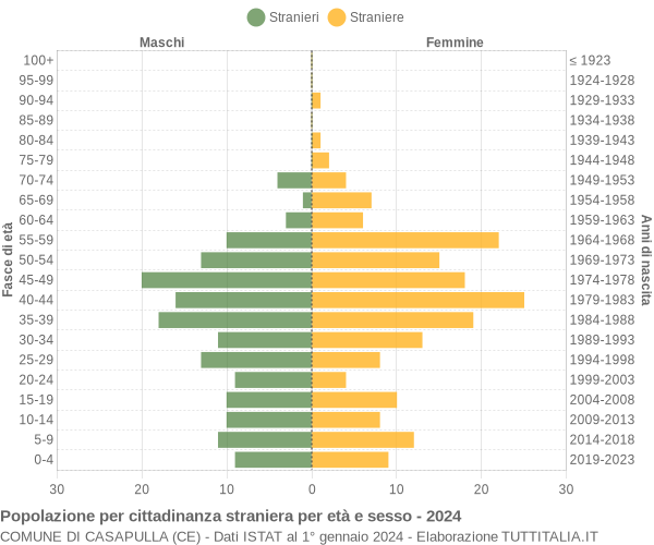 Grafico cittadini stranieri - Casapulla 2024