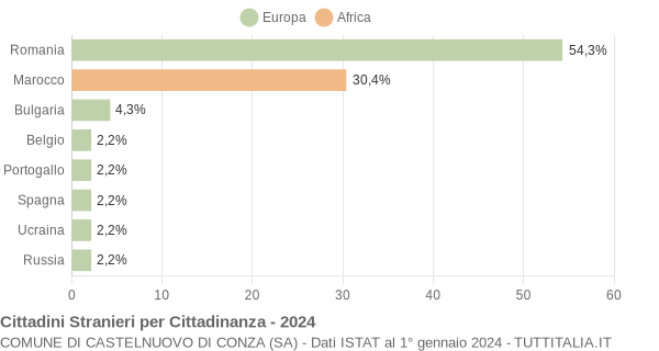 Grafico cittadinanza stranieri - Castelnuovo di Conza 2024