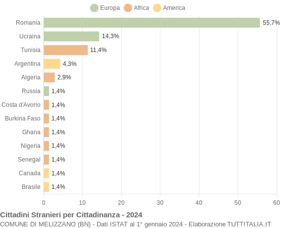 Grafico cittadinanza stranieri - Melizzano 2024