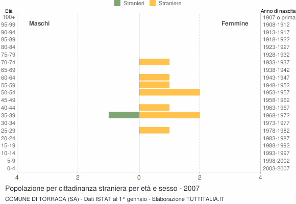 Grafico cittadini stranieri - Torraca 2007