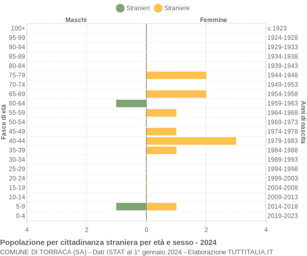 Grafico cittadini stranieri - Torraca 2024