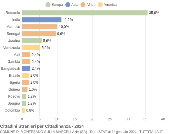 Grafico cittadinanza stranieri - Montesano sulla Marcellana 2024