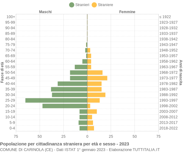 Grafico cittadini stranieri - Carinola 2023