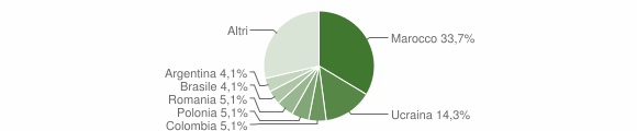 Grafico cittadinanza stranieri - Lioni 2007