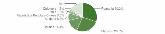 Grafico cittadinanza stranieri - Lioni 2011
