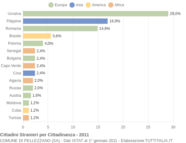 Grafico cittadinanza stranieri - Pellezzano 2011