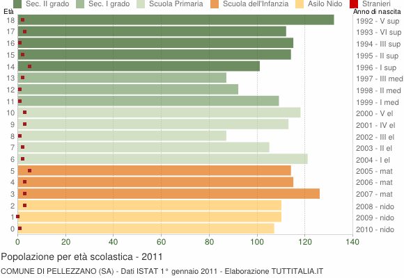 Grafico Popolazione in età scolastica - Pellezzano 2011