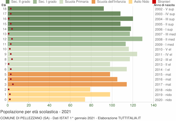 Grafico Popolazione in età scolastica - Pellezzano 2021