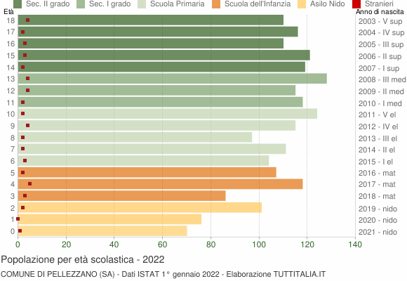 Grafico Popolazione in età scolastica - Pellezzano 2022