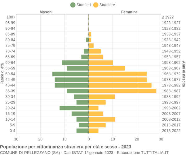 Grafico cittadini stranieri - Pellezzano 2023